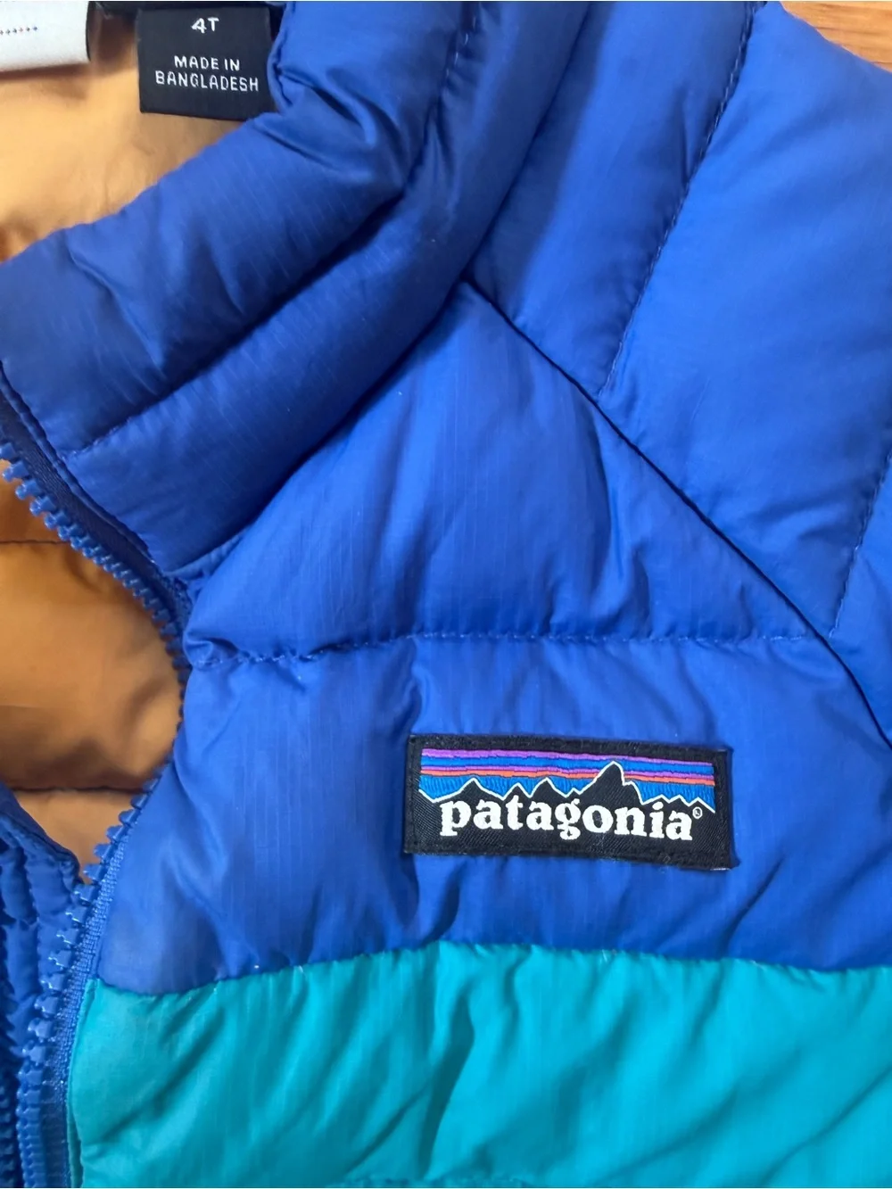 Patagonia insulated kids